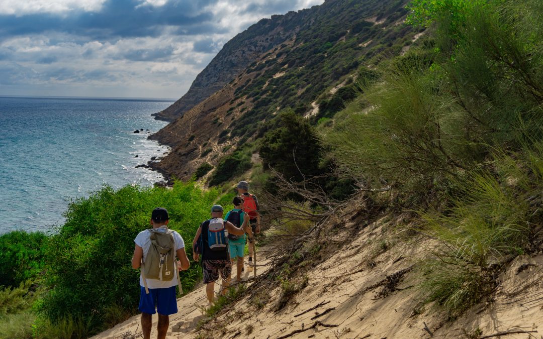 Beginner’s Guide to Hiking: How to Prepare for Your First Trail
