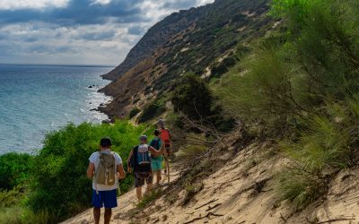 Beginner’s Guide to Hiking: How to Prepare for Your First Trail
